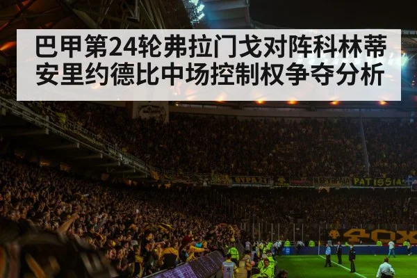 football stadium night crowd