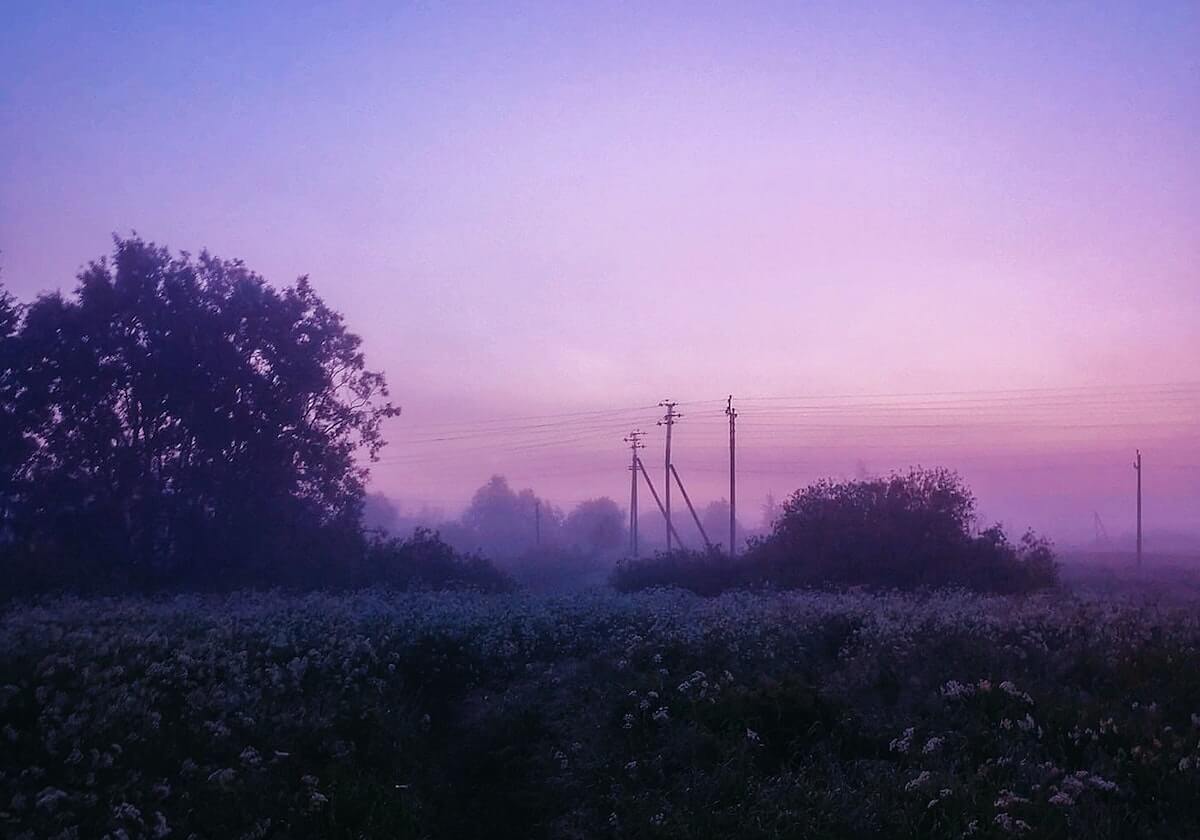 新2体育网址-世界羽联回应印度公开赛猴子入场、落鸟粪等问题